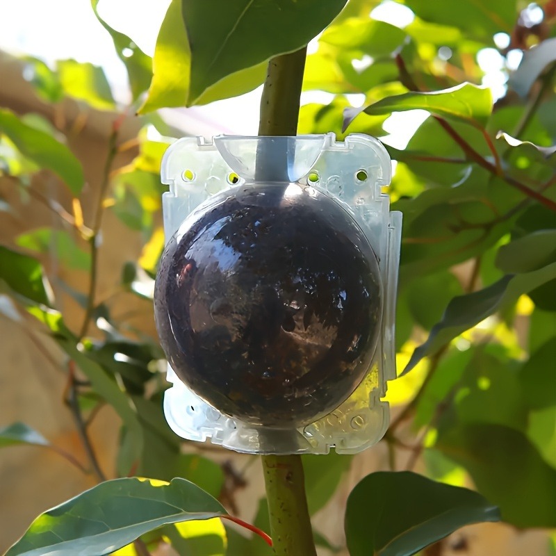 10-delige hogedruk plantenwort - Smart Garden Storage recensie en prijs