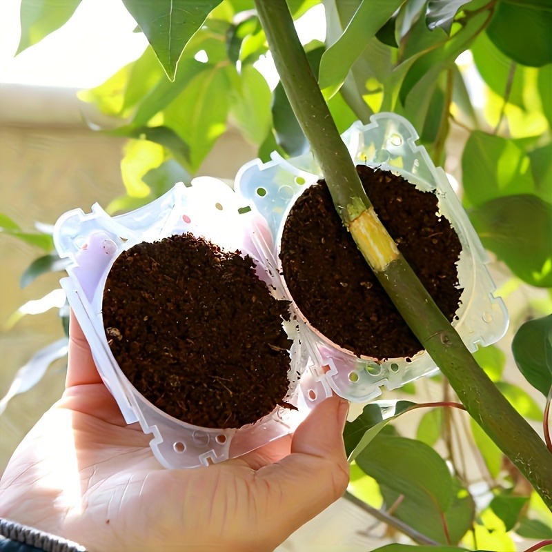 10-delige hogedruk plantenwort - Smart Garden Storage recensie en prijs